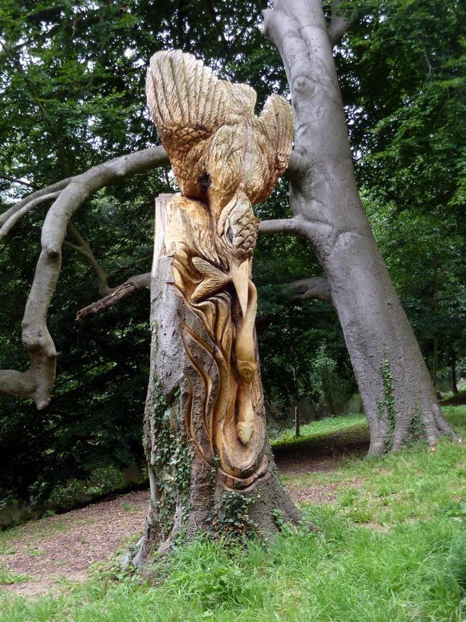 Sleepy Hollow Holiday Home Knaresborough Exteriör bild