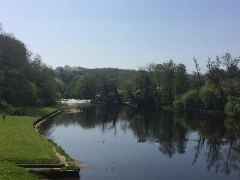 Sleepy Hollow Holiday Home Knaresborough Exteriör bild